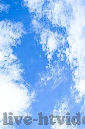 麻豆传媒的视频-网络文化与当代媒体视界下的麻豆传媒视频探析